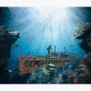 Deep Sea Diver Tapestry Official Scuba Diving Gifts Merch